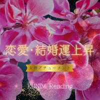 【恋愛・結婚運上昇】LINE電話/遠隔（女神アチューメント・フレイヤ マリアージュ レイ）