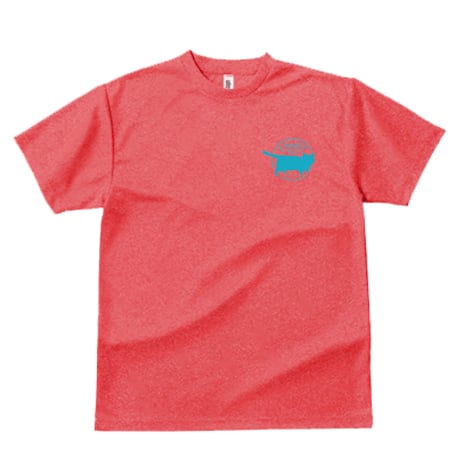【ラブリーとこピンク】ココスドライTシャツ2026