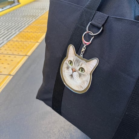 ココス リバーシブルBIGアクキー