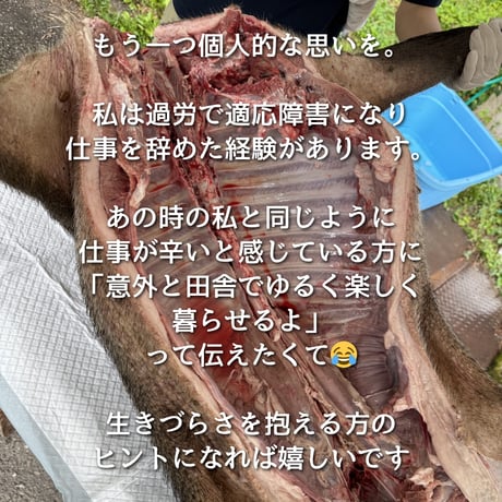 第2回ぬしすジビエワークショップDAY2：猟師さんと罠の見回り＆山散策