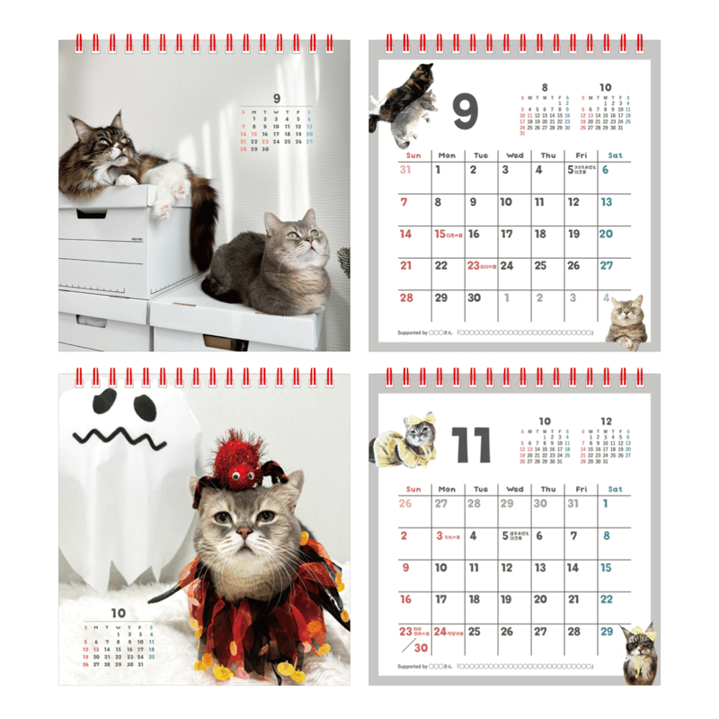 猫のココスカレンダー2025【11/5~】 | ココストア