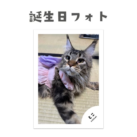とこ1歳記念セット