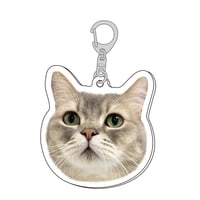 ココス リバーシブルBIGアクキー