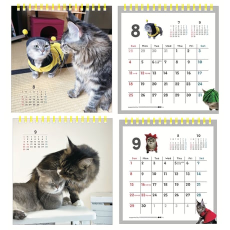 猫のココスカレンダー2024