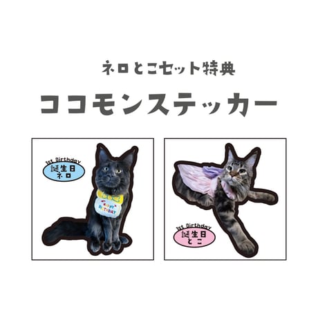 ネロとこ1歳記念VIPセット
