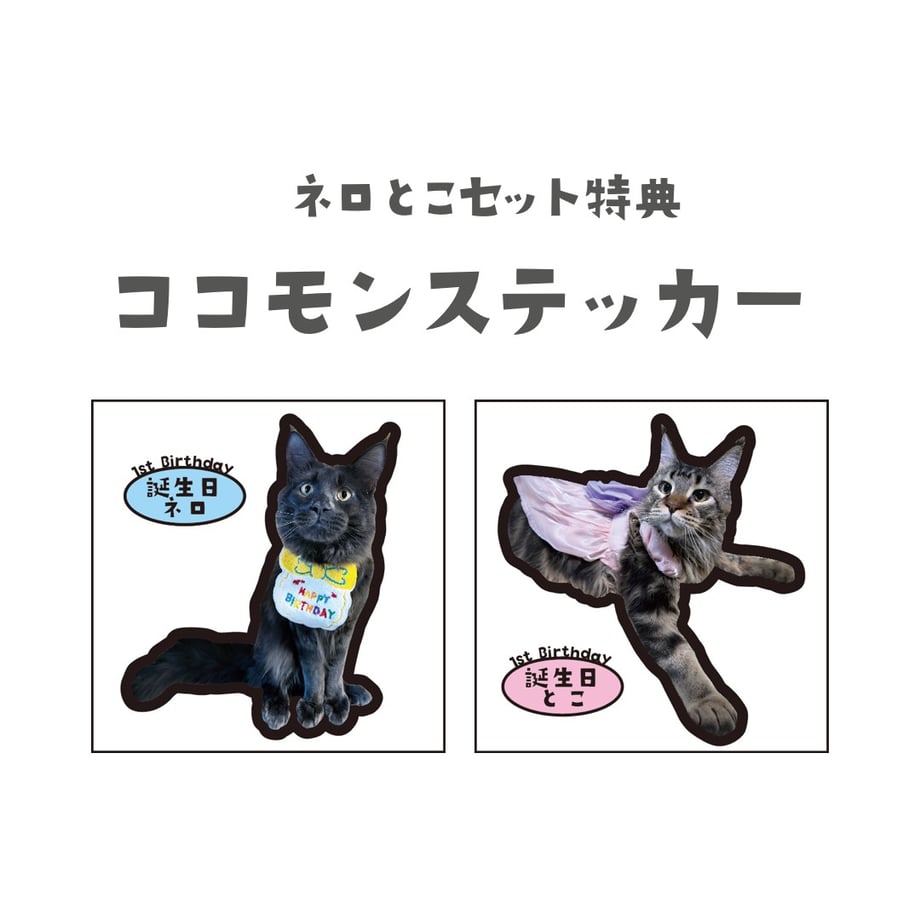 65acda6515680f31472c7651