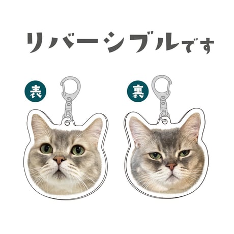 ココス リバーシブルBIGアクキー