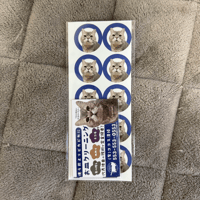 (有)ココス清掃のサンキューカード＆シールセット