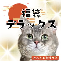 福袋DX