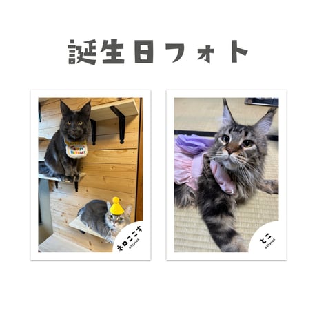 ネロとこ1歳記念VIPセット