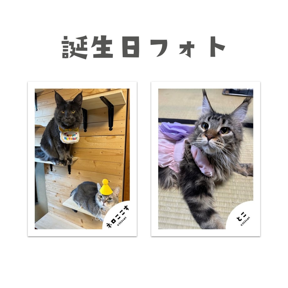 65acda6515680f31472c7651