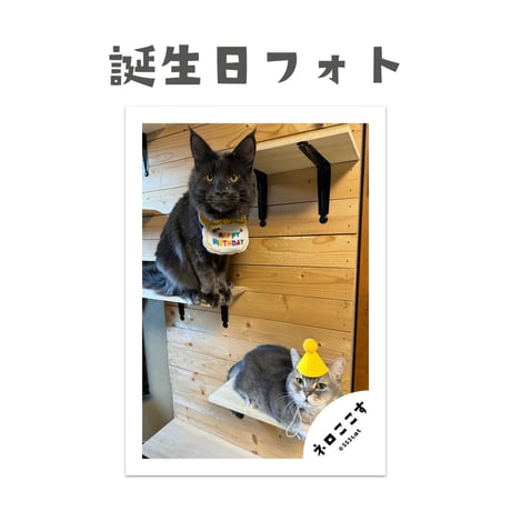 ネロ1歳記念セット