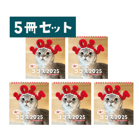 【5冊まとめ買い】猫のココスカレンダー2025
