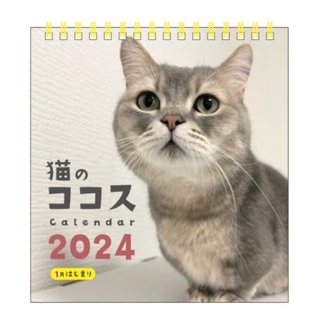 猫のココスカレンダー2024