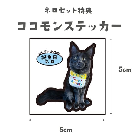 ネロ1歳記念セット
