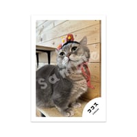 ひな祭りフォト03：お雛さまココス