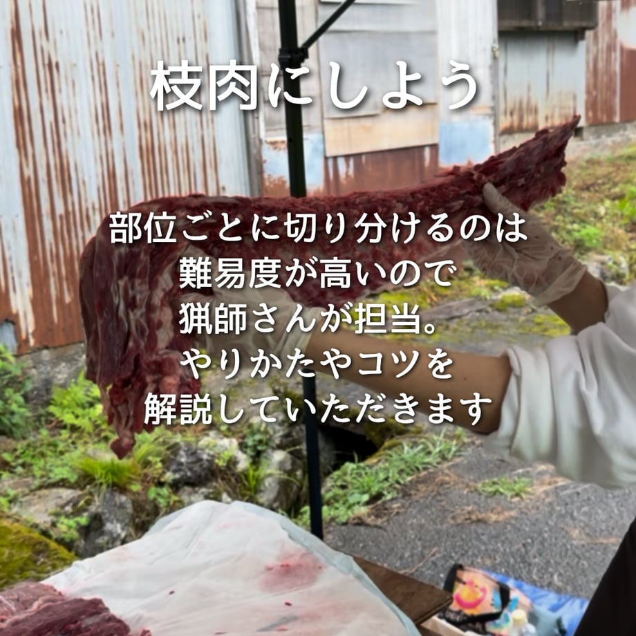 69d7d34ff25781793ff402fb