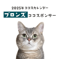 ブロンズココスポンサー費用
