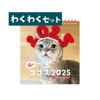 【わくわくセット】猫のココスカレンダー2025