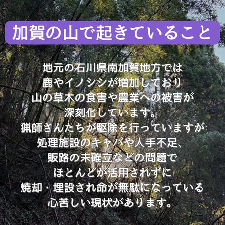 鹿耳ジャーキー 30g | 加賀里山ジビエ