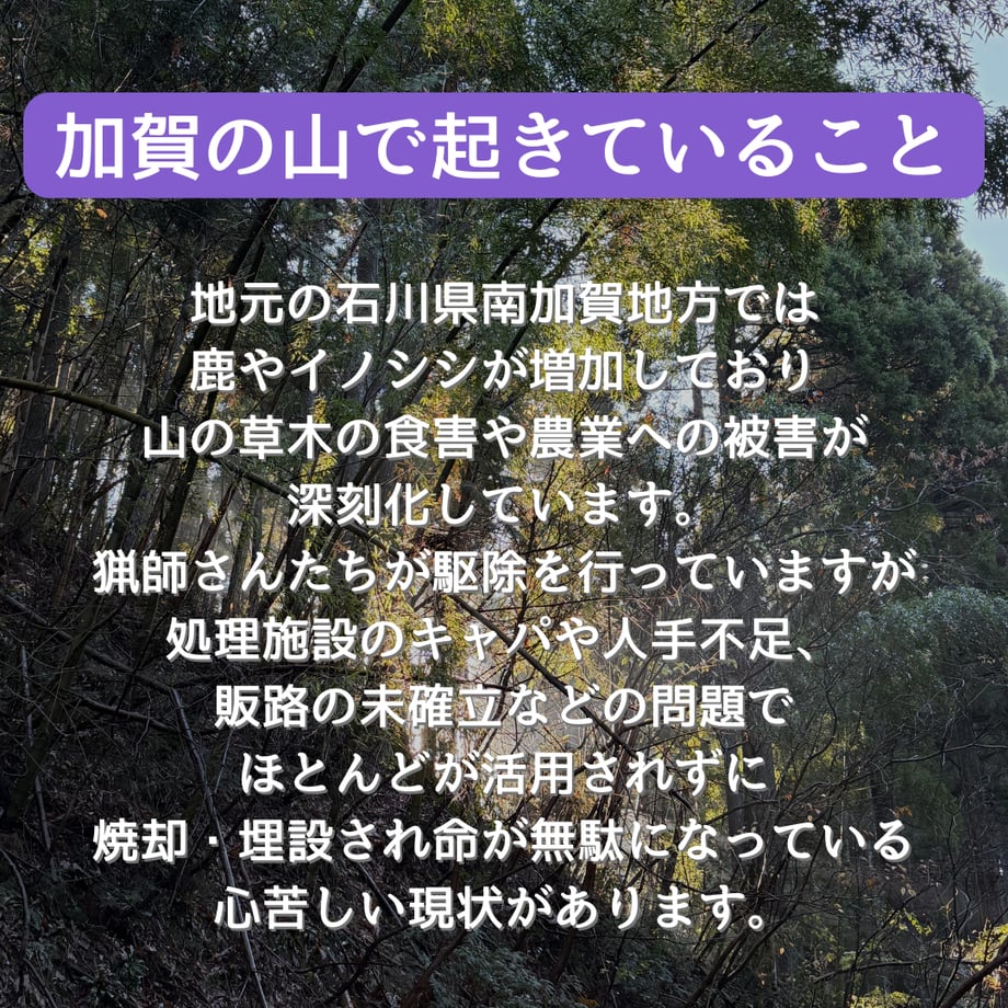 69a1a7ce7570b182987b4687