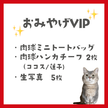 大阪オフ会ご参加チケット