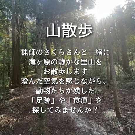 ぬしすジビエワークショップDAY1：3人の猟師さんと楽しむ山散歩＆ジビエ料理作り　小学生以下用チケット