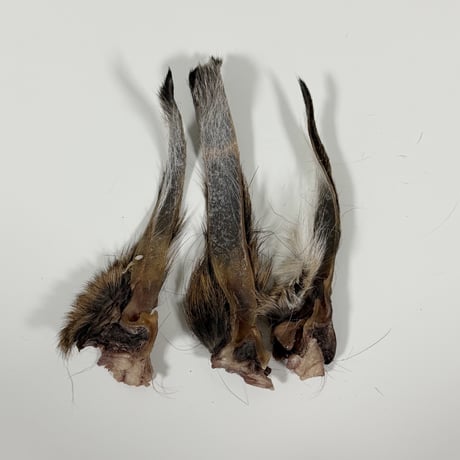 鹿耳ジャーキー 30g | 加賀里山ジビエ