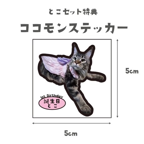 とこ1歳記念セット