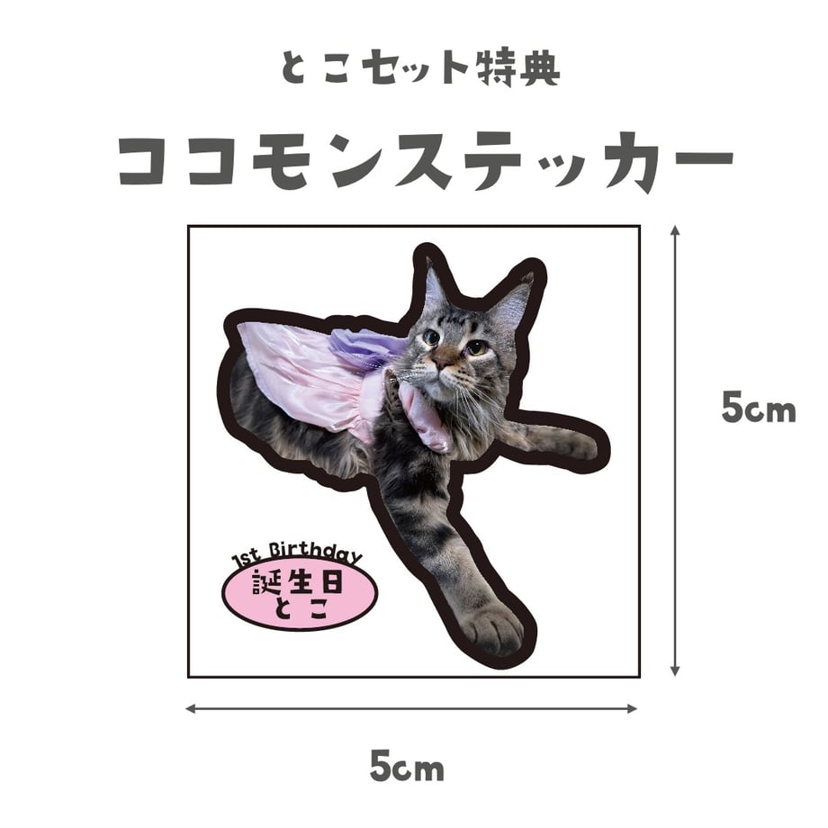 65acd9b815680f30992c7694