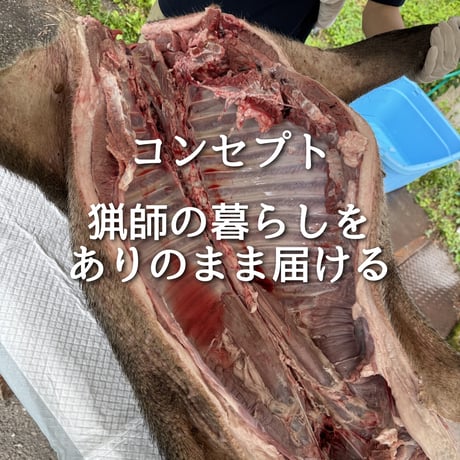 第2回ぬしすジビエワークショップDAY2：猟師さんと罠の見回り＆山散策