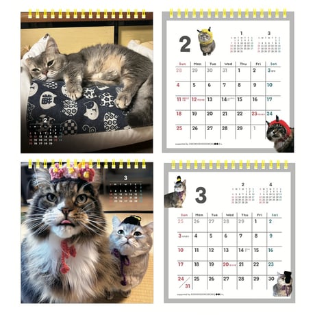 猫のココスカレンダー2024