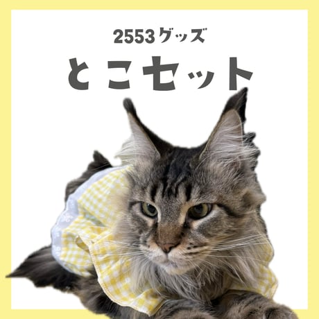 2553とこ推しセット