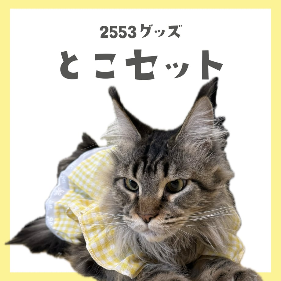 66111f2952c0080e9f4b0c7f
