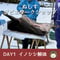 第2回ぬしすジビエワークショップDAY1：イノシシを丸々一頭解体する