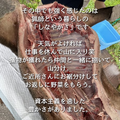 第2回ぬしすジビエワークショップDAY2：猟師さんと罠の見回り＆山散策
