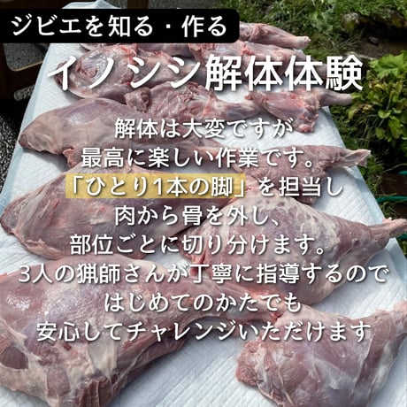 ぬしすジビエワークショップDAY2：3人の猟師さんに学ぶジビエ入門講座＆イノシシ解体体験　解体プラン