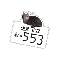 ココス ナンバープレートアクキー
