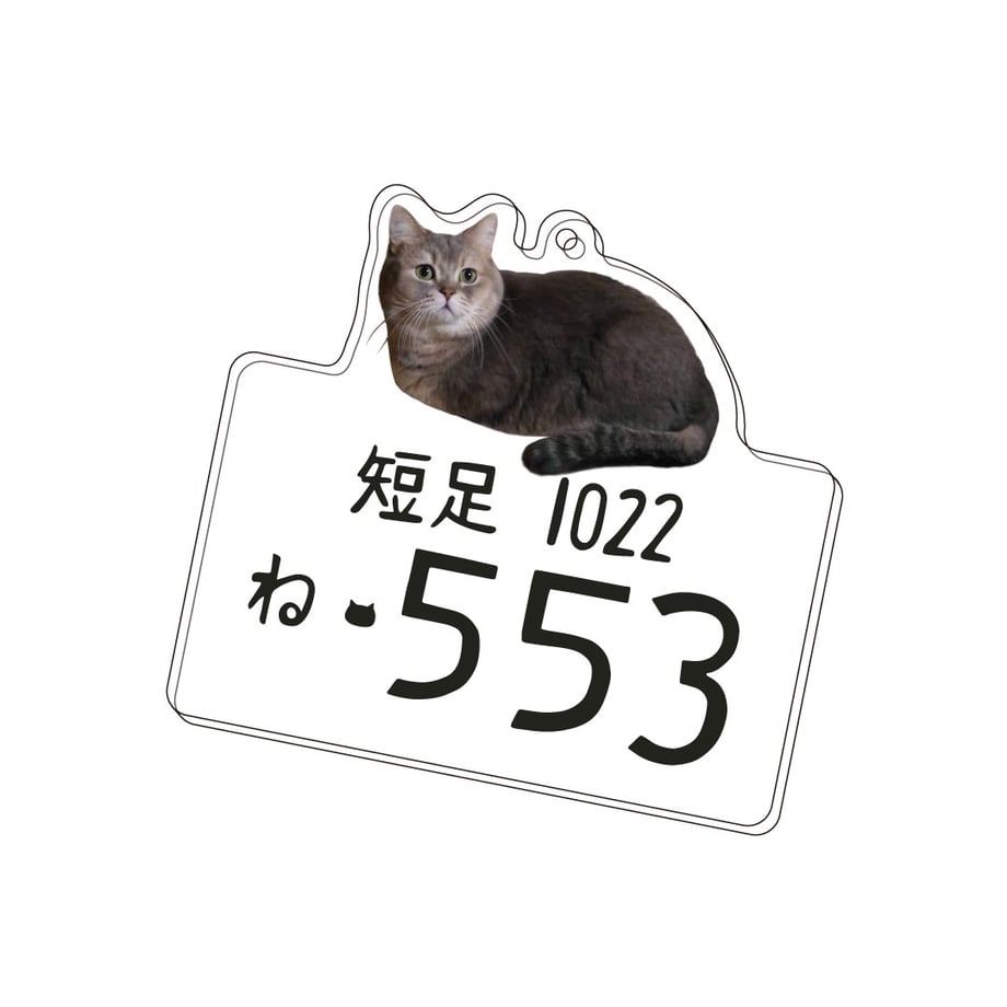 65acd534af9b6b1b811657ff