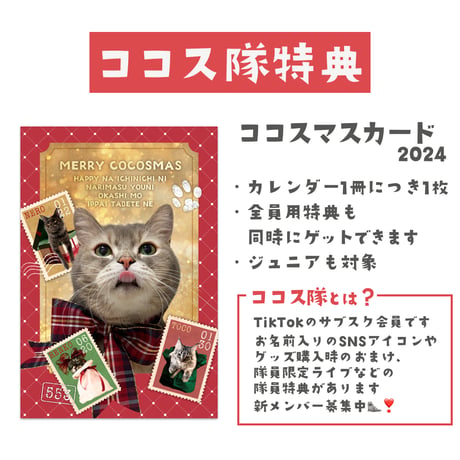【VIPセット】猫のココスカレンダー2025