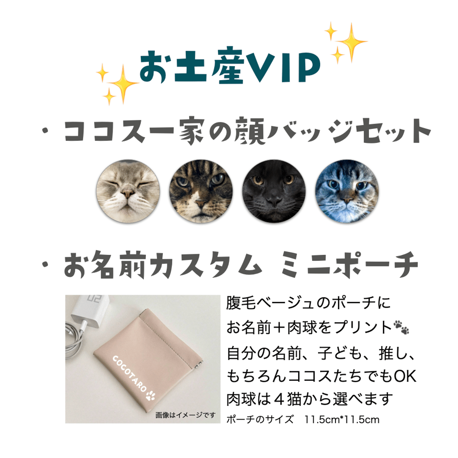 673c98abb5a9590e18c08ead