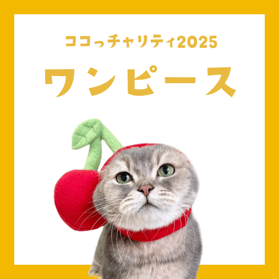 67ef76be427a88a6598d4ca6