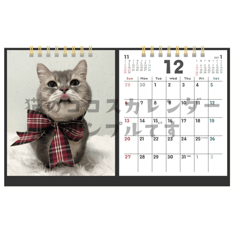 【エメラルドココスポンサー】猫のココスカレンダー