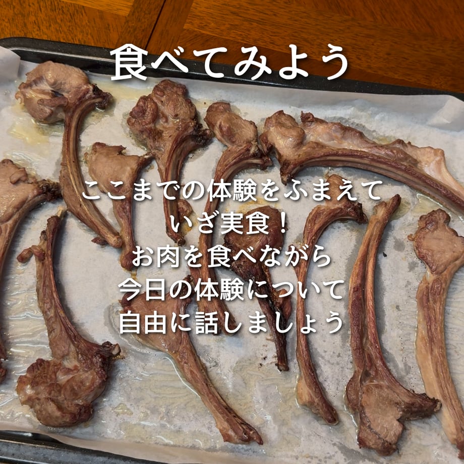 69d7d34ff25781793ff402fb