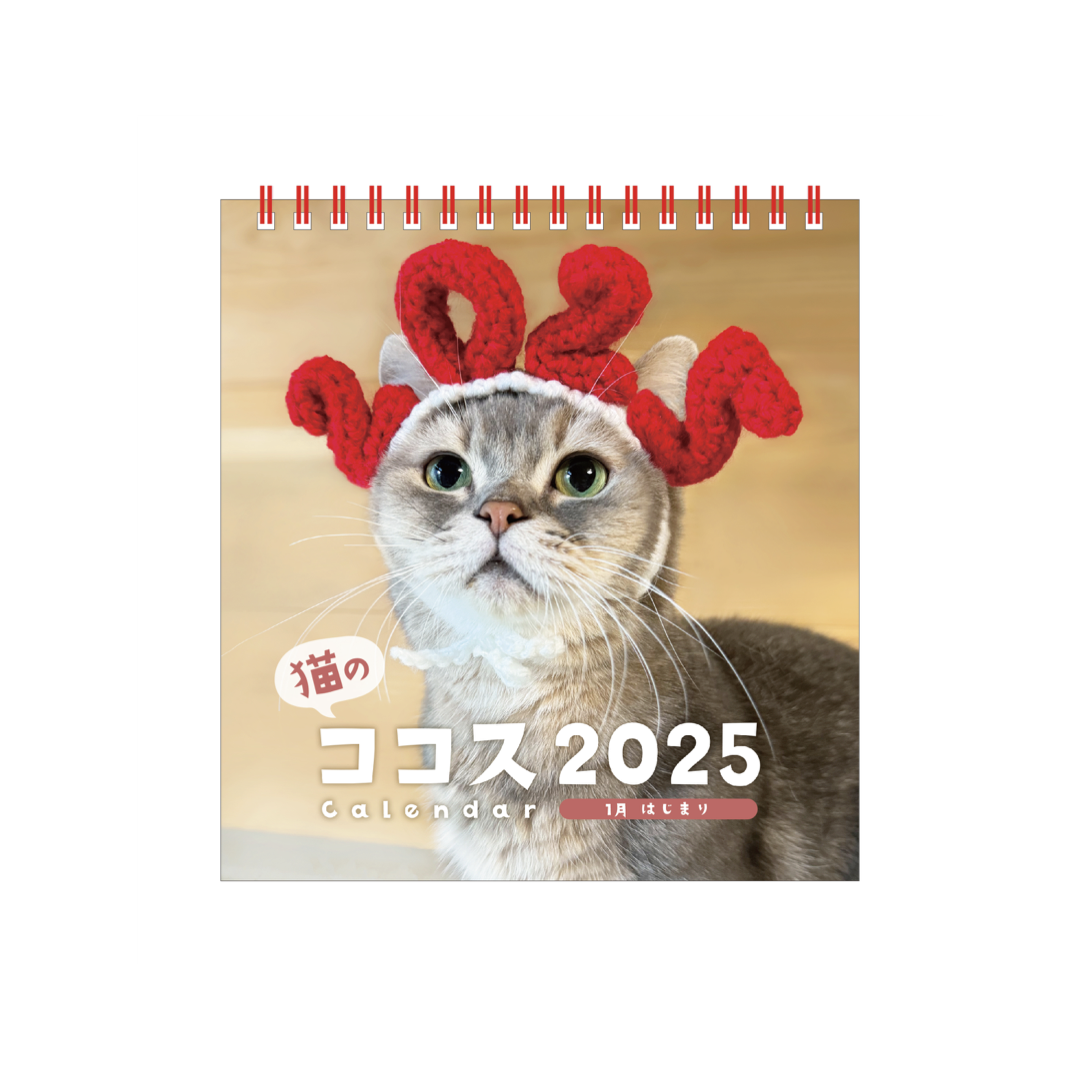 猫ココ 231010 WayV Weverse - ヤンヤン アップデート：新しい猫ココ
