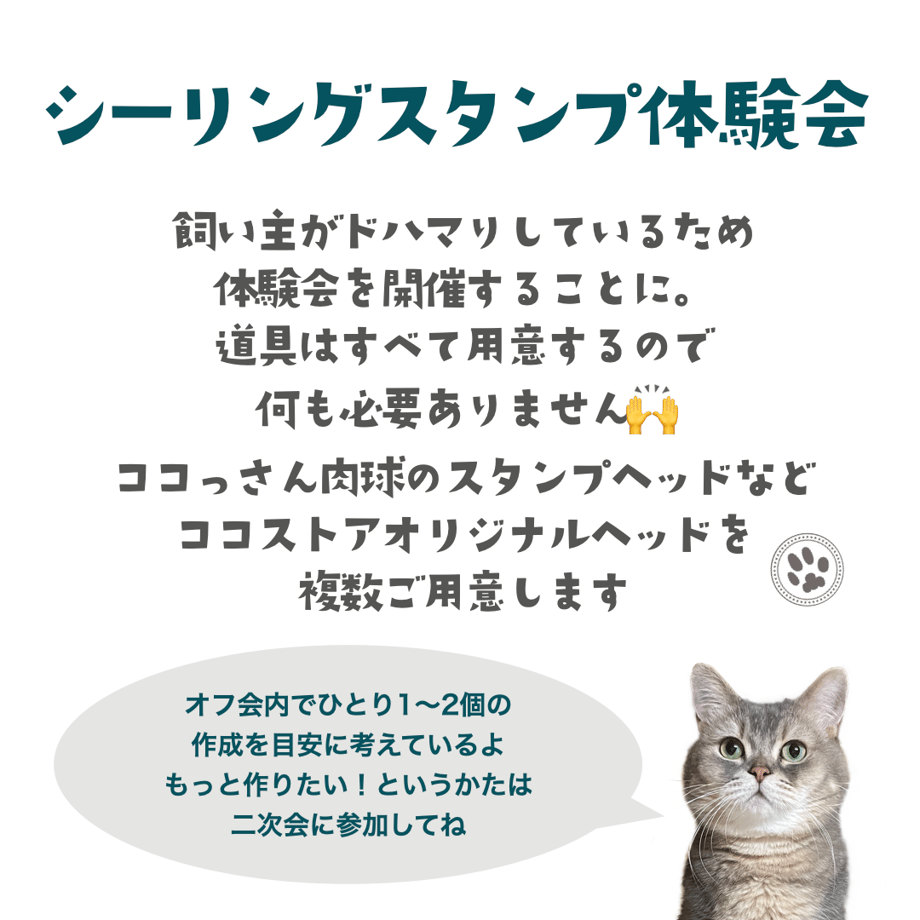 673c98abb5a9590e18c08ead