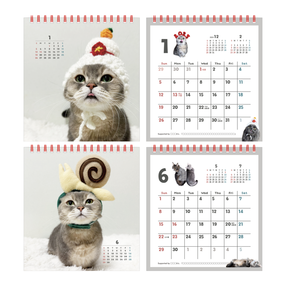 猫のココスカレンダー2025【11/5~】 | ココストア