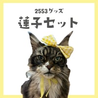 2553蓮子推しセット