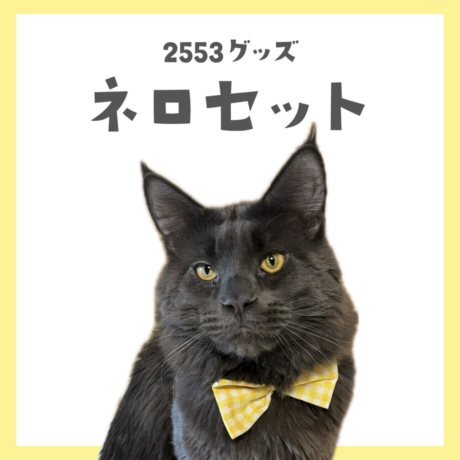 66111f6152c00810464b0c5e