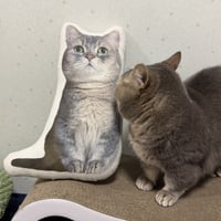 ココスのほぼ等身大クッション